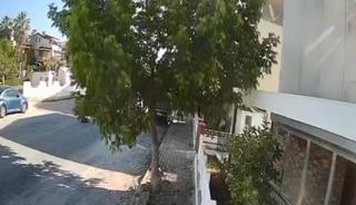 Sokakta yatan köpeği ezip geçti! O anlar kamerada