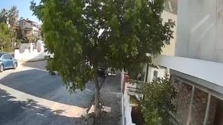 Sokakta yatan köpeği ezip yoluna devam etti! O anlar kamerada