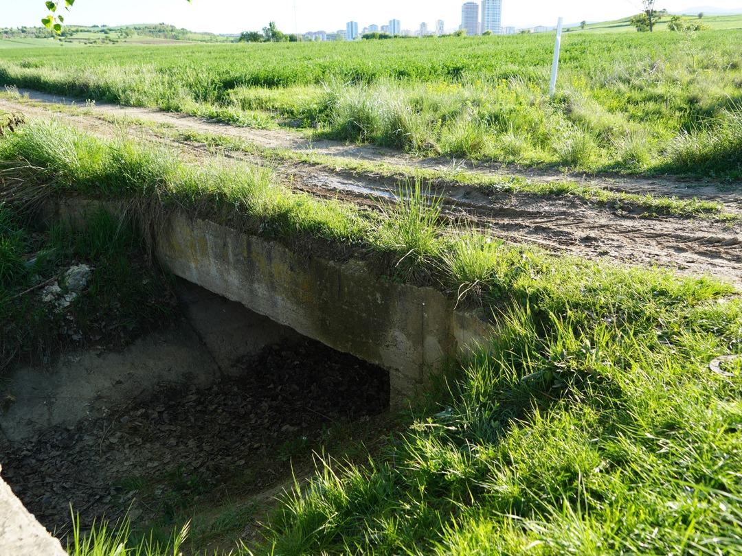 Kesik baş cinayetinde kan donduran itiraf: "Şerife azmettirdi, ben de bu suçu işledim" 3