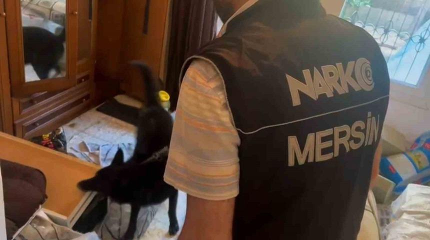 Zehir taciri kilolarca uyuşturucu ve 375 bin TL ile yakalandı