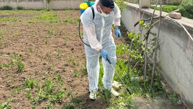 Aydıntepe’de yabancı ot mücadelesi başlatıldı