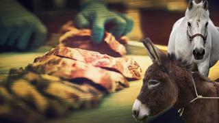 Bu kez de at ve eşek eti yedirmişler! Hileli gıda listesi güncellendi, Adana ve Gaziantep'teki skandal ifşalandı