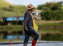 'Yere göğe ekiyoruz' 1 aydır hazırlık yapıyorlar, 'Ekmeğimizi çamurdan çıkarıyoruz' 23 yıldır sadece bu işi yapıyorlar...