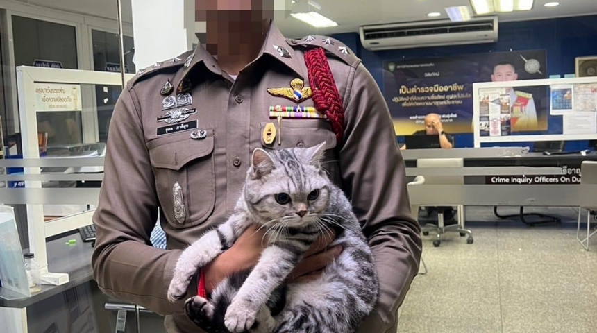 Kaybolan kedi kendisini kurtarmaya çalışan polise saldırdı! Gözaltına alınınca...