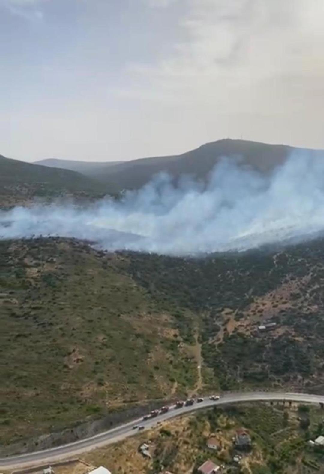 İzmir’de makilik alandaki yangına müdahale sürüyor 1