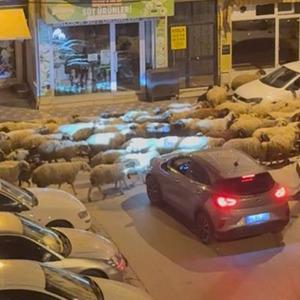 Son Dakika Haber Görseli