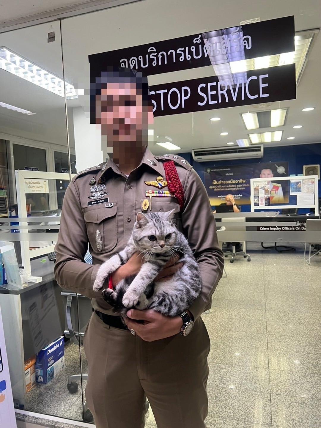 O şirin görüntünün altında bir hükümlü var! Polisleri ısırıp saldıran kedinin pati izi alındı, sabıka fotoğrafı çekildi... 1
