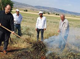 'Yılda sadece 8 - 10 gün gibi kısa bir zaman diliminde yapılabiliyor' Araban Ovası'nda firik sezonu başladı
