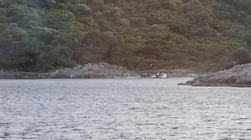 Yasak bölgeye zodyak botla gelmeye çalıştılar! 3 şüpheli yakalandı