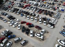 Doldu taştı! Sinek avlarken her şey tersine döndü '150 bin TL'den başlayan fiyatlar bile var'