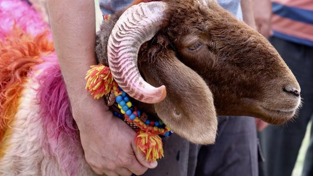 Kurban Bayramı'na geri sayım başladı! Peki Arefe günü tatil mi, bayram tatili uzatıldı mı?