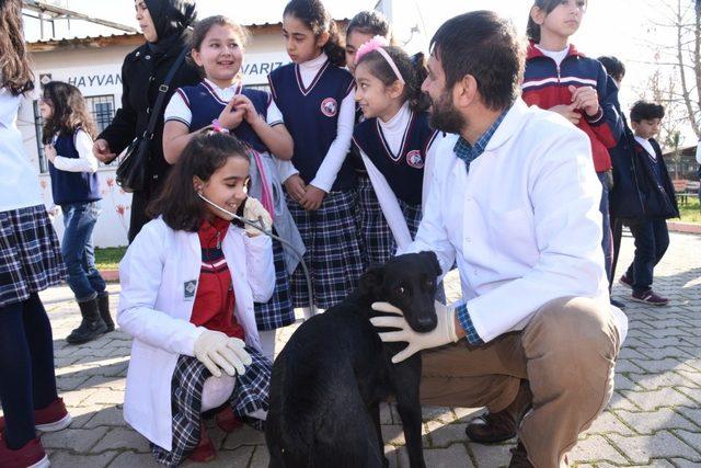 Küçük veteriner hekimler hayvan barınağında