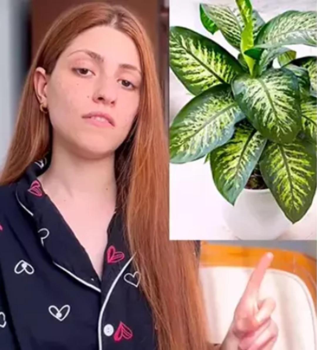 Neredeyse herkesin evinde var! Yüzü uyuştu, salyalar akmaya başladı: Hemen çöpe atın! 1