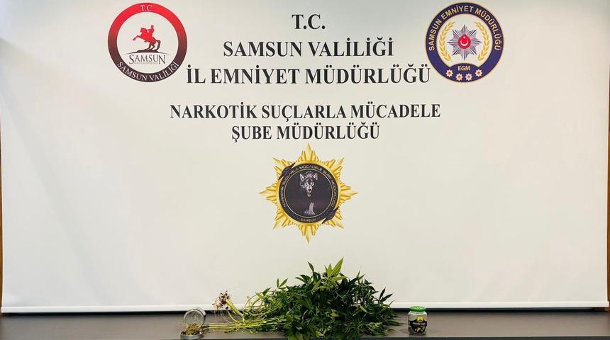 Yer: Samsun! Evde kurdukları serada kenevir yetiştiren 2 kişi gözaltına alındı