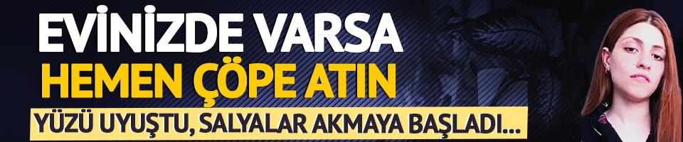 Hemen çöpe atın... İnsanı konuşamaz hale getiriyor!