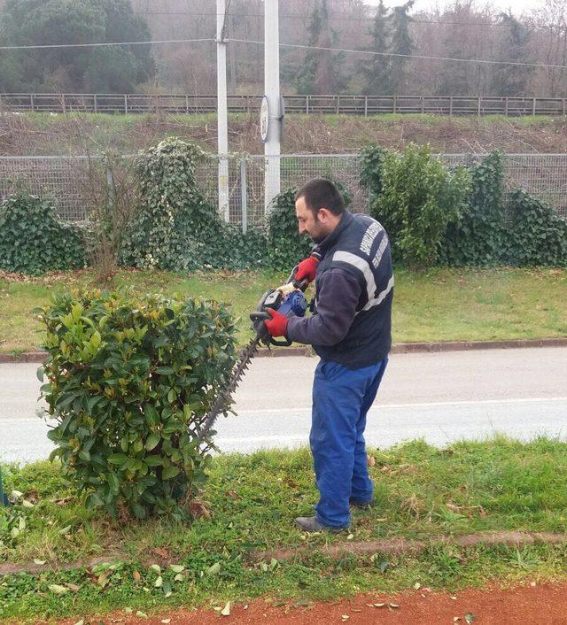 Sapanca Park ve Bahçeler Müdürlüğü’nden yoğun mesai