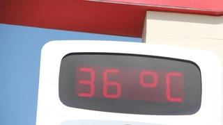 Adana’da sulama kanallarında tehlikeli serinlik