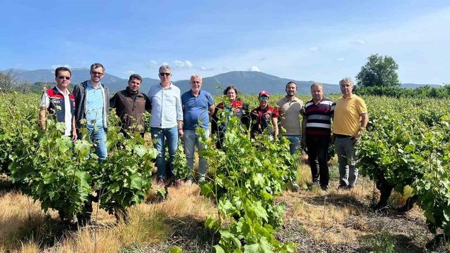 Çanakkale’de don sonrası harekete geçildi