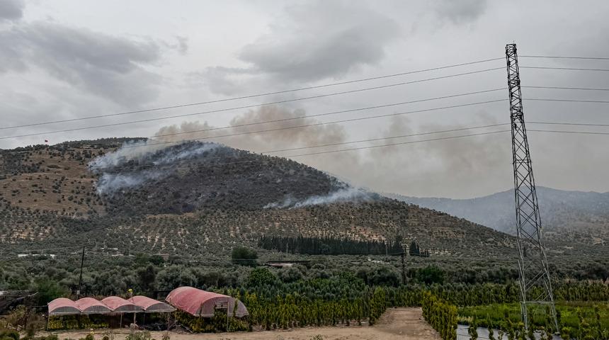 İzmir'de zeytinlik alanda çıkan yangın kontrol altına alındı