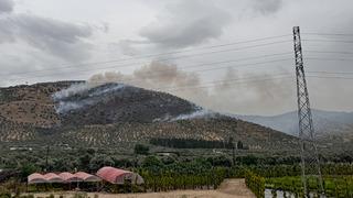 İzmir'de zeytinlik alanda çıkan yangın kontrol altına alındı