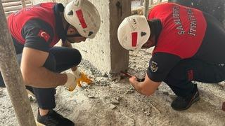 Şanlıurfa'da beton kolonun altında mahsur kalan kedi yavrusu kurtarıldı