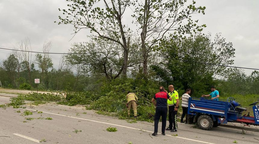 Bartın'da şiddetli fırtınada ağaçlar devrildi! Bir otomobil hasar gördü