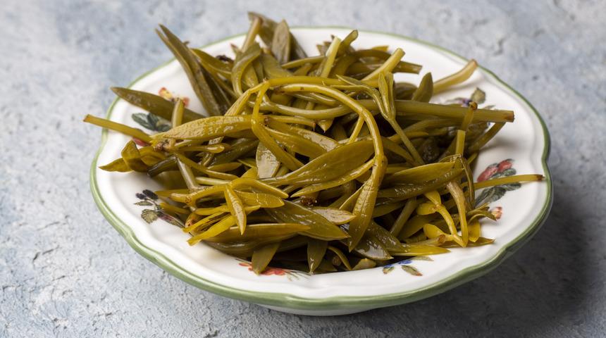 Kaya koruğu faydaları nelerdir? Kaya koruğu faydaları neye iyi gelir, kulak ağrısına iyi gelir mi?