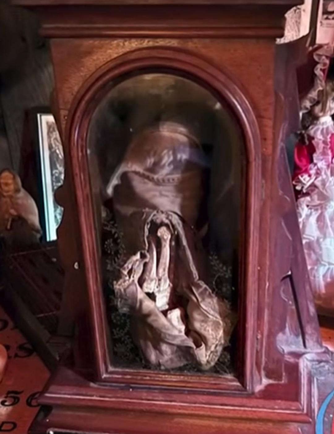 Sosyal medya gündeminde o lanetli bebek var! Dünya turunda kayıp mı oldu? Tir tir titreten hikaye... 1