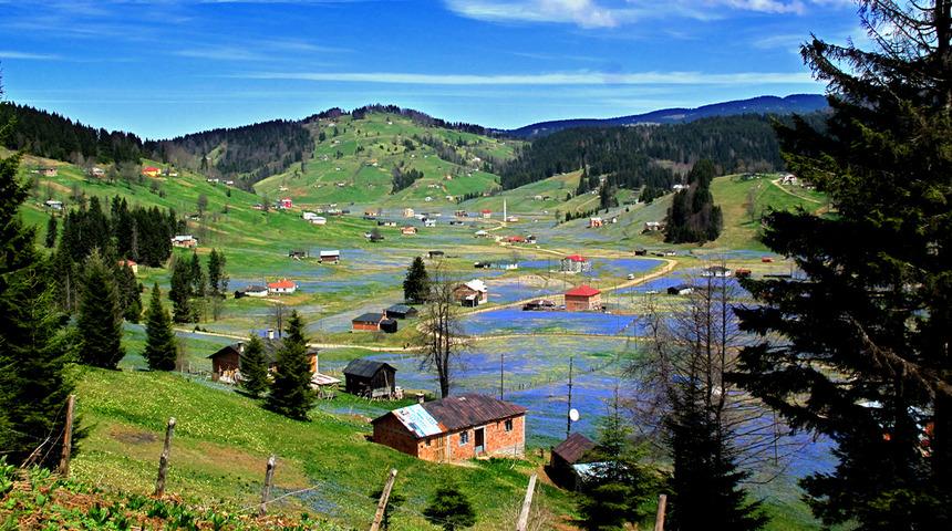Rakım yükseldikçe tehlike artıyor! Karadeniz’de yaylaya çıkmak isteyen bu hastalara 'yüksek rakım' uyarısı! Uzmanlar uyarıyor...