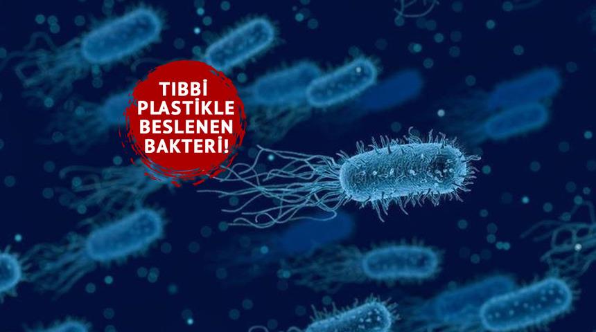 Dünya genelinde tehdit: Hastanelerdeki tıbbi plastikle beslenen bu bakteri 560 bin kişiyi öldürdü! 
