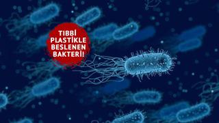 Dünya genelinde tehdit: Hastanelerdeki tıbbi plastikle beslenen bu bakteri 560 bin kişiyi öldürdü! 