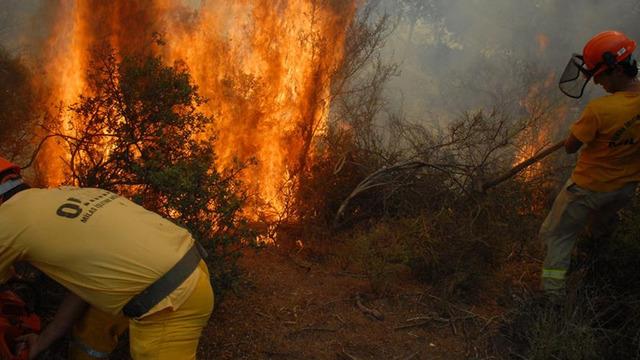 Ankara Valiliği açıkladı! O tarihler arasında ormanlara giriş-çıkış yasaklandı