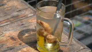 Zencefil suyunun faydaları nelerdir? Zencefil suyu neye iyi gelir? Zencefil suyunun saça ve cilde faydaları ile zararları