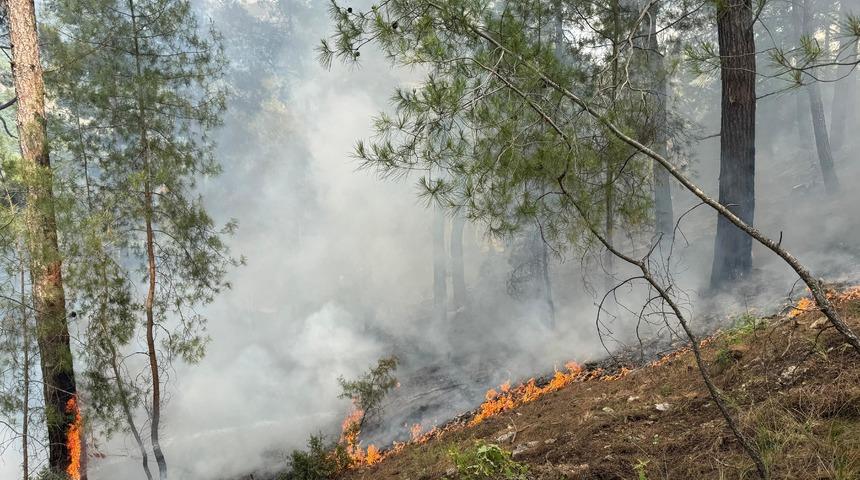 Antalya Kumluca'da orman yangını! Yaklaşık 1 hektar alan zarar gördü