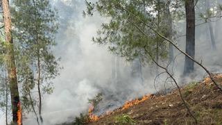 Antalya Kumluca'da orman yangını! Yaklaşık 1 hektar alan zarar gördü