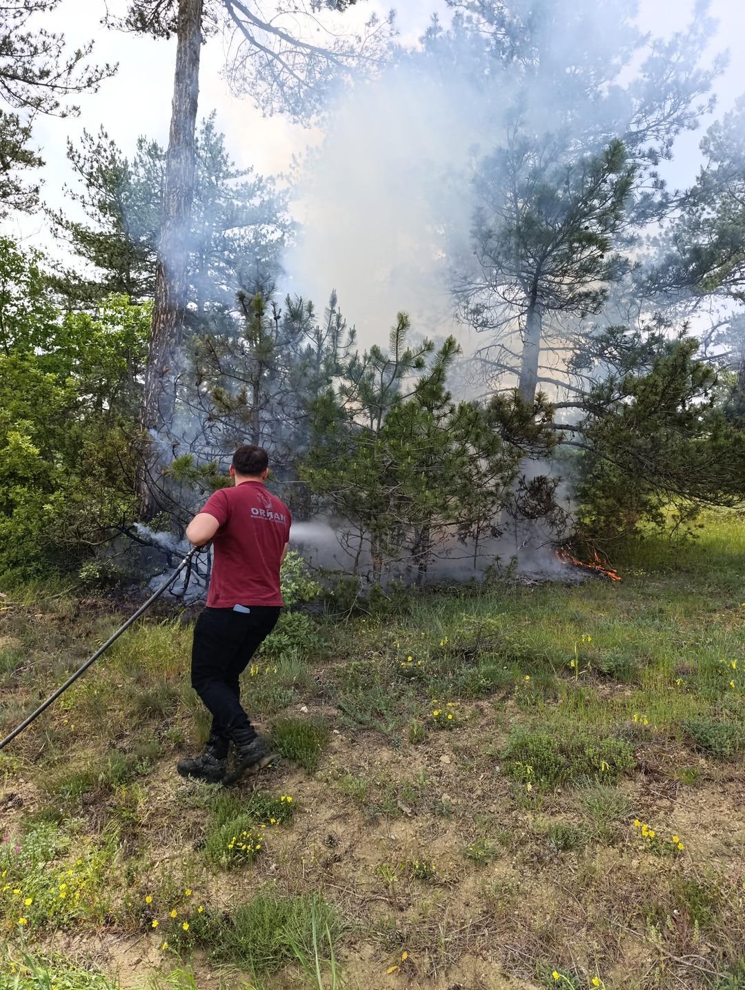 Yıldırım düşen ormanda çıkan yangın söndürüldü 1