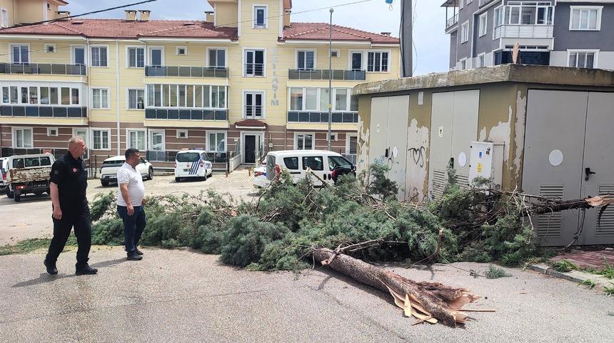 Bilecik'te sağanak ve fırtına! Çadırlar uçtu, ağaçlar devrildi: 1 kişi yaralandı