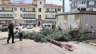Bilecik'te sağanak ve fırtına! Çadırlar uçtu, ağaçlar devrildi: 1 kişi yaralandı
