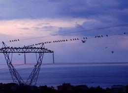 Günlük elektrik üretim ve tüketim verileri