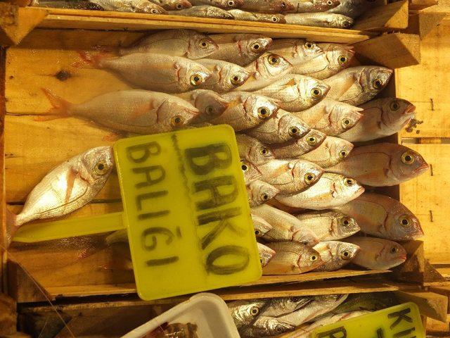 (Özel Haber) Balık tezgahlarında ’bako’ sürprizi 2