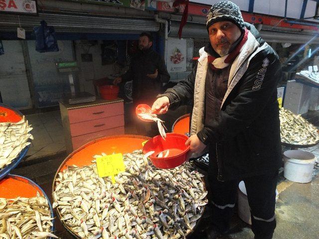 (Özel Haber) Balık tezgahlarında ’bako’ sürprizi 3