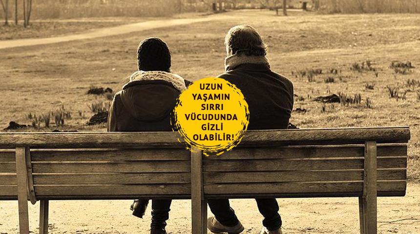 Uzun yaşamın sırrı vücudunda gizli olabilir! Vücudun gizli gücü: Vagus siniri nedir? Vagus siniri nasıl uyarılır?