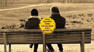 Uzun yaşamın sırrı vücudunda gizli olabilir! Vücudun gizli gücü: Vagus siniri nedir? Vagus siniri nasıl uyarılır?