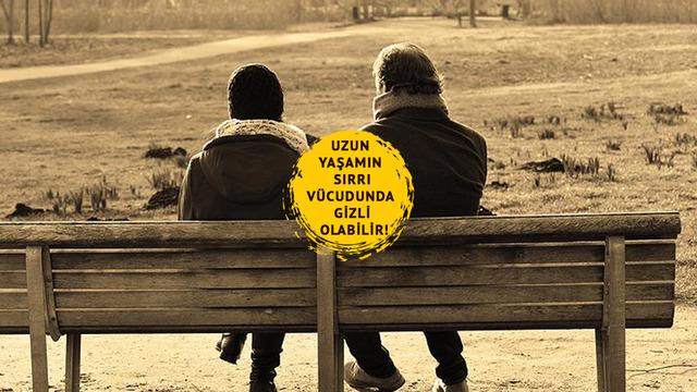 Uzun yaşamın sırrı vücudunda gizli olabilir! Vücudun gizli gücü: Vagus siniri nedir? Vagus siniri nasıl uyarılır?