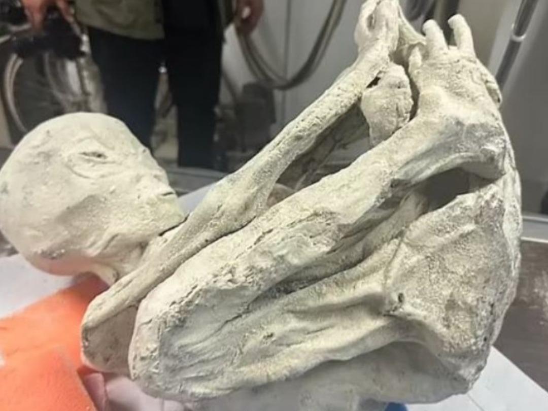 Üç parmaklı uzaylı olarak biliniyordu! Yeni detaylar ortaya çıktı! "Yüzde yüz gerçekler" 2