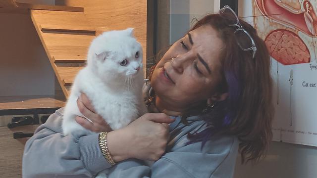 Veteriner hekim sokak hayvanlarını tedavisini yapıp sahiplendiriyor