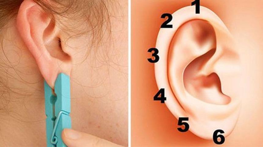 Kulağınızın belli noktalarına mandal tutturmak sağlığınızı koruyor