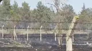 Atatürk Barajında yangın korkuttu