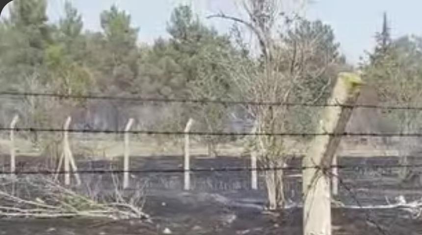 Atatürk Barajında yangın korkuttu