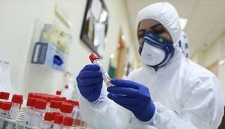 Yeni ve sinsi varyant: 'Ağustos b&ouml;ceği'